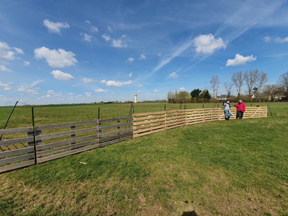 Wecandoo pature cloture Ferme des P'tits Bergers Atraps Chaussy Angerville Loiret Essonne Ile-de-France Paris Chèvre Angora
