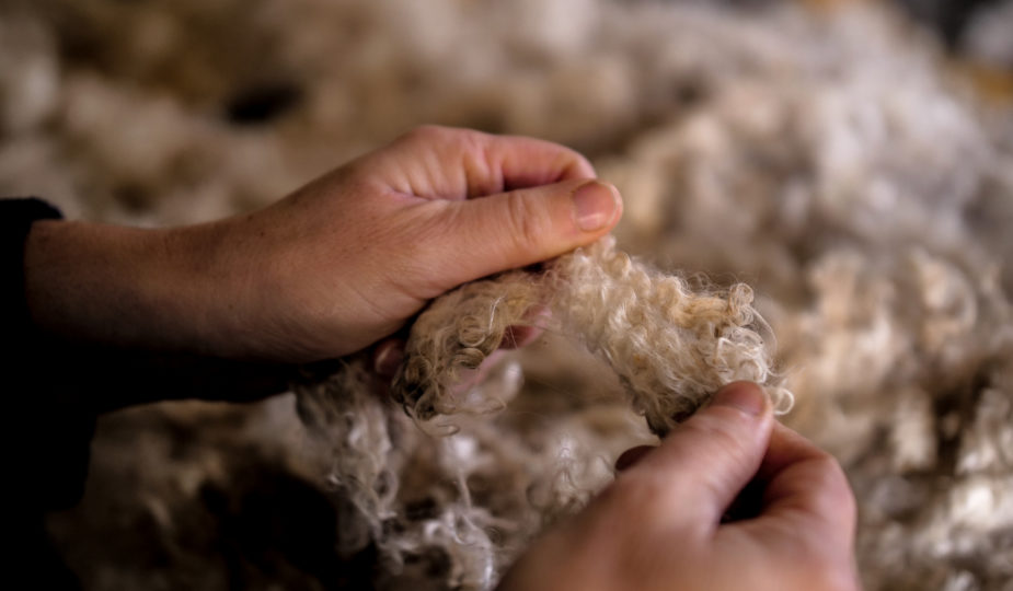 Tri du mohair Ferme des P'tits Bergers Atraps Chaussy Angerville Loiret Essonne Ile-de-France Paris Chèvre Angora