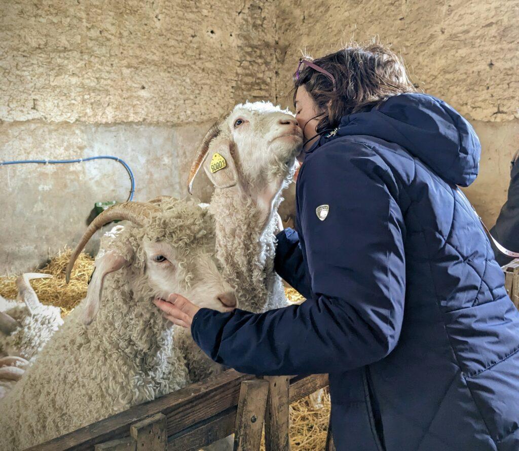 fete des meres cadeau calin