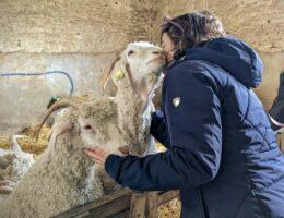 fete des meres cadeau calin