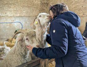 fete des meres cadeau calin
