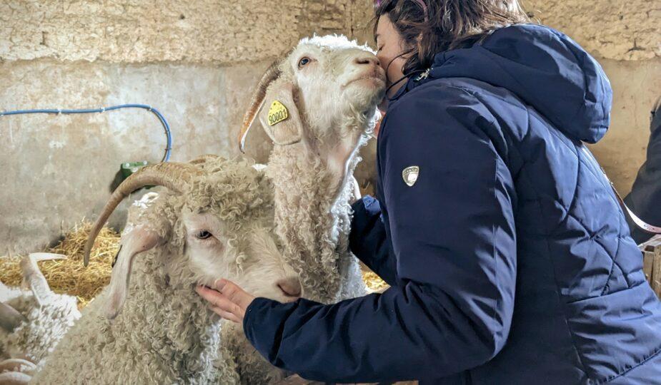 fete des meres cadeau calin