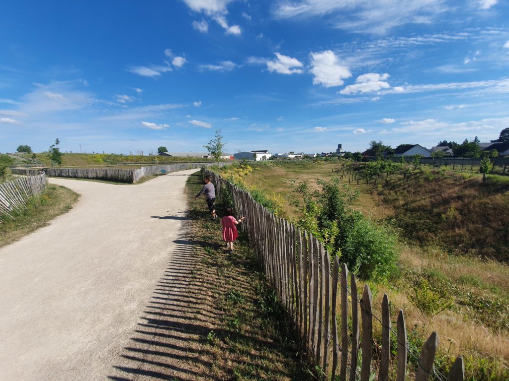 Toury-parc-du-perche-le-parc-piquenique