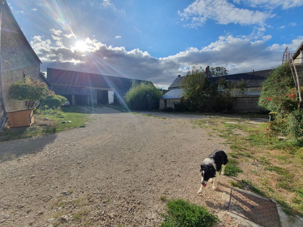 La ferme côté cour : notre ferme est aussi bien notre habitation que notre lieu de travail. Il s'agit d'une ancienne ferme carrée aujourd'hui divisée en deux. Sur la photo vous pouvez aussi voir Everest notre chien de berger