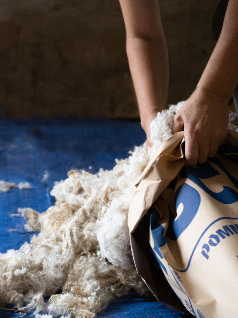 tonte chevre angora