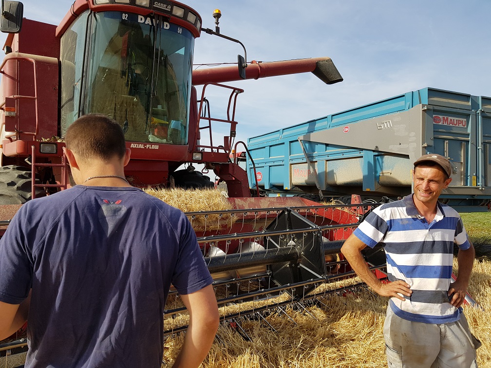 Moisson ferme des p'tits bergers Chaussy Atraps Loiret