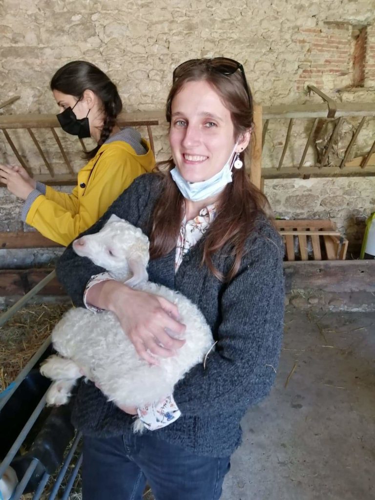 Wecandoo bébé chevre Ferme des P'tits Bergers Atraps Chaussy Angerville Loiret Essonne Ile-de-France Paris Chèvre Angora