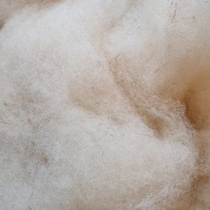 rembourrage laine de mouton