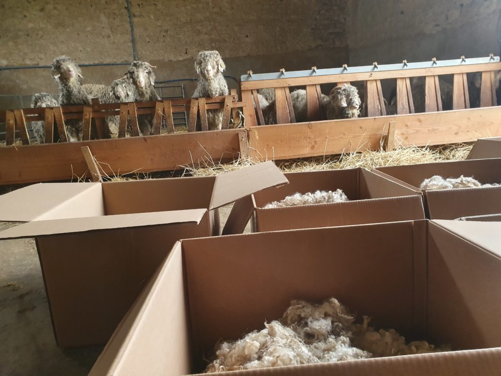 Tri laine chèvre angora mohair